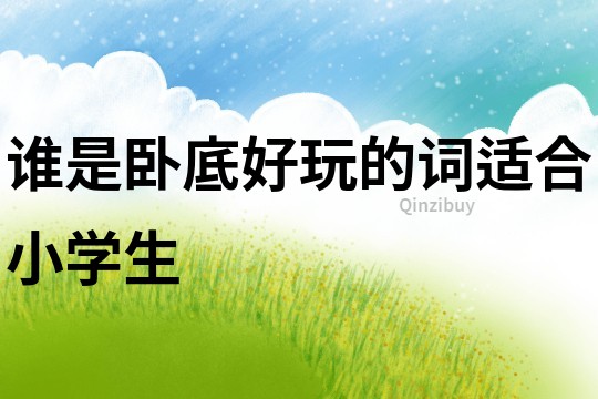 誰是臥底好玩的詞適合小學生