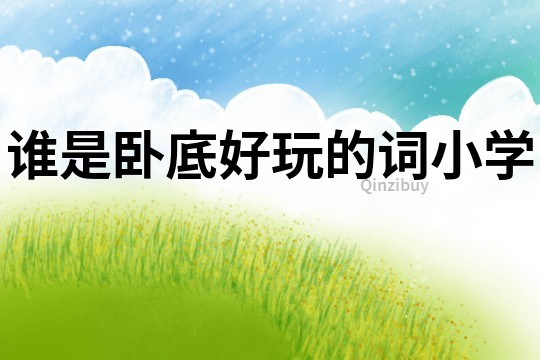 誰是臥底好玩的詞小學