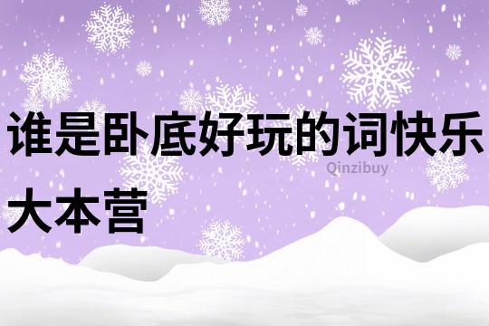 誰是臥底好玩的詞快樂大本營