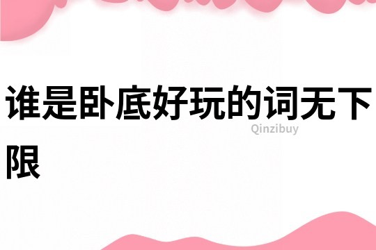 誰是臥底好玩的詞無下限