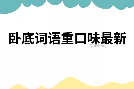 臥底詞語重口味最新