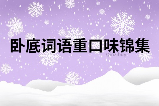 臥底詞語重口味錦集
