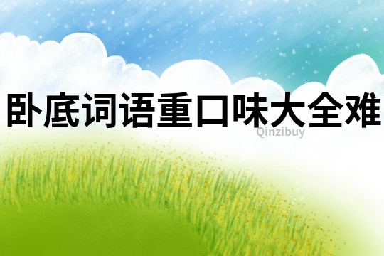 臥底詞語重口味大全難