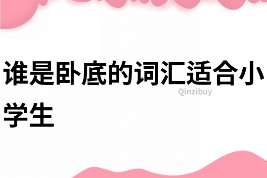 誰是臥底的詞匯適合小學生