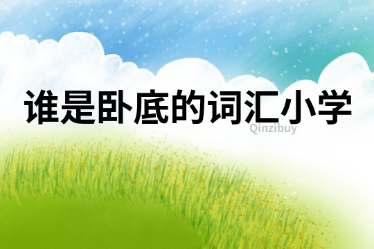 誰(shuí)是臥底的詞匯小學(xué)