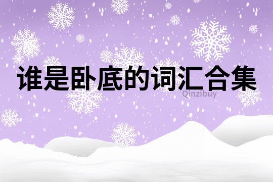 誰是臥底的詞匯合集