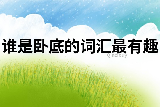 誰是臥底的詞匯最有趣