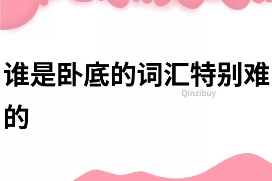 誰是臥底的詞匯特別難的