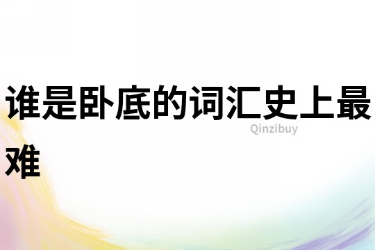 誰是臥底的詞匯史上最難