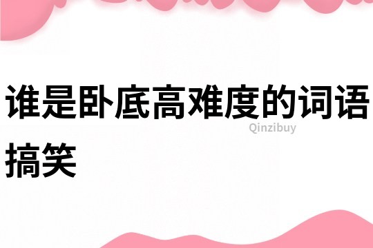 誰是臥底高難度的詞語搞笑