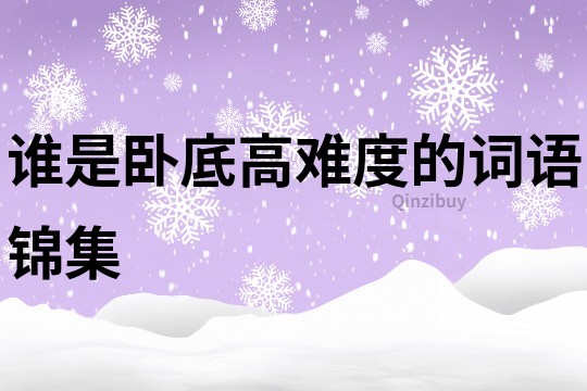 誰是臥底高難度的詞語錦集