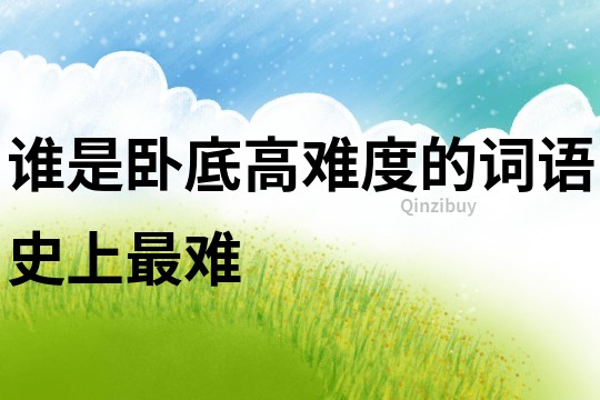 誰是臥底高難度的詞語史上最難