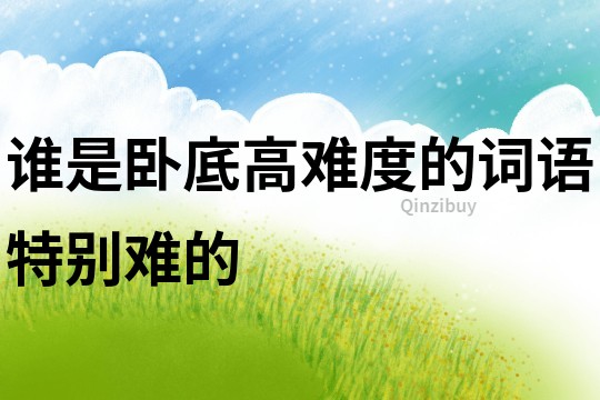 誰是臥底高難度的詞語特別難的