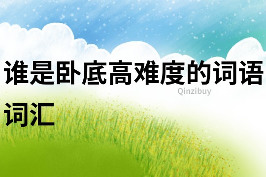 誰是臥底高難度的詞語詞匯