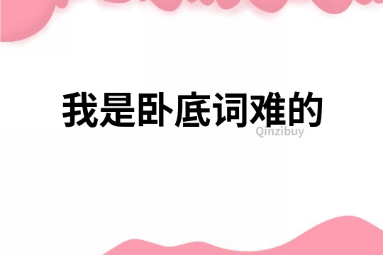 我是臥底詞難的