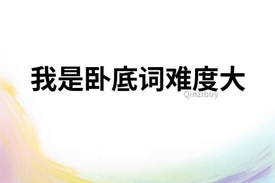 我是臥底詞難度大