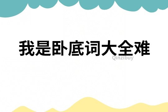 我是臥底詞大全難