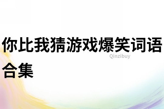 你比我猜游戲爆笑詞語合集