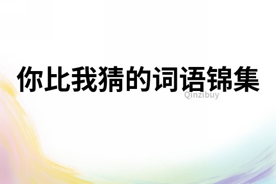 你比我猜的詞語錦集