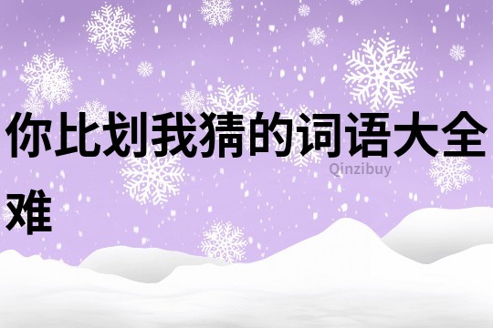 你比劃我猜的詞語大全難