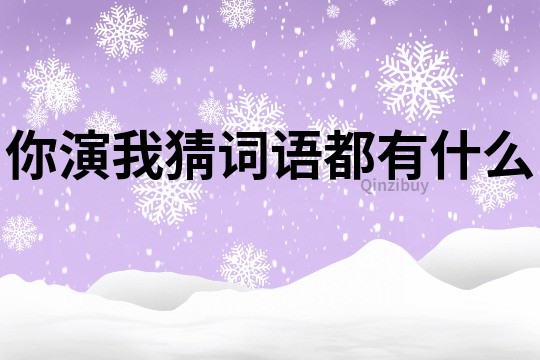 你演我猜詞語都有什么