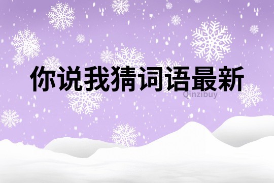 你說我猜詞語最新