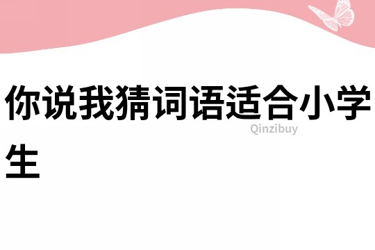 你說我猜詞語適合小學生