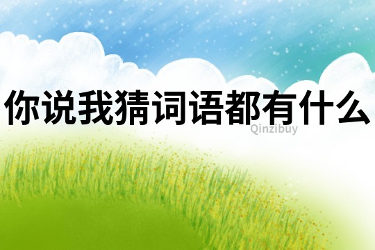 你說我猜詞語都有什么