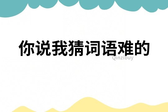 你說我猜詞語難的