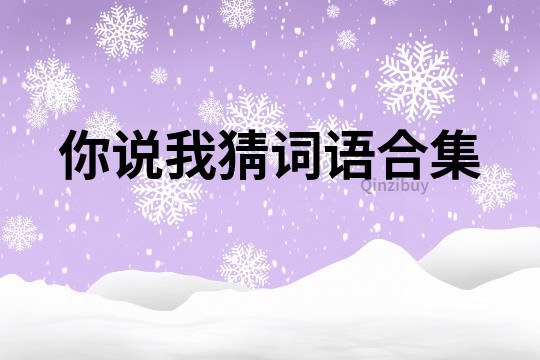 你說我猜詞語合集