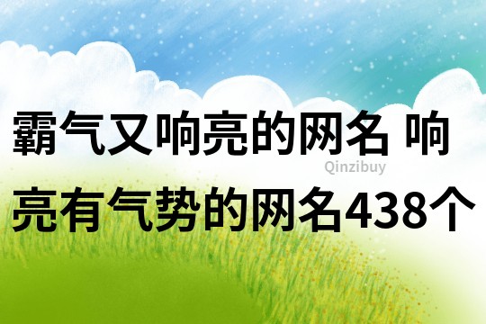 霸氣又響亮的網名 響亮有氣勢的網名438個