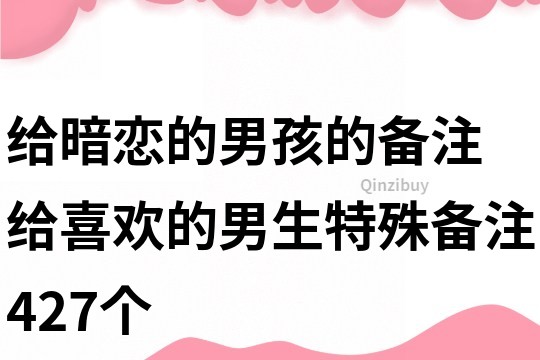 給暗戀的男孩的備注 給喜歡的男生特殊備注427個