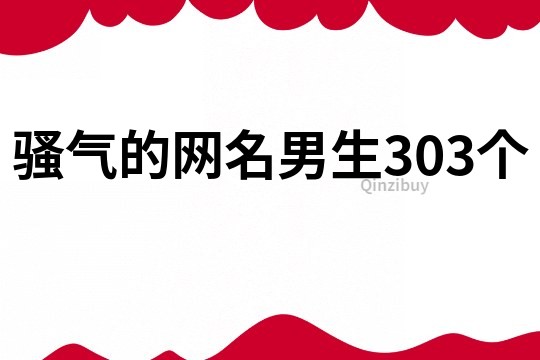 騷氣的網名男生303個