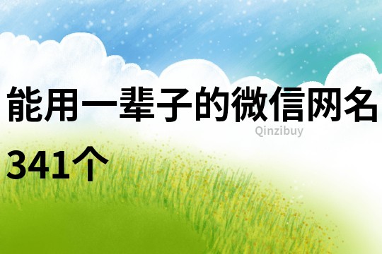 能用一輩子的微信網名341個