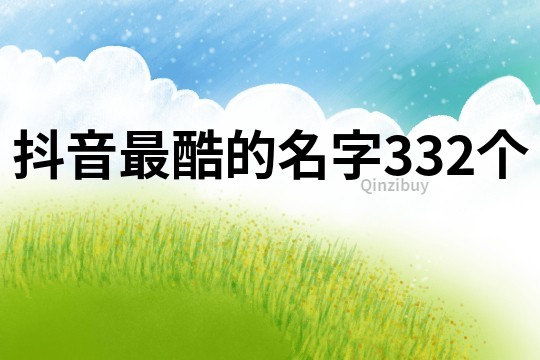 抖音最酷的名字332個