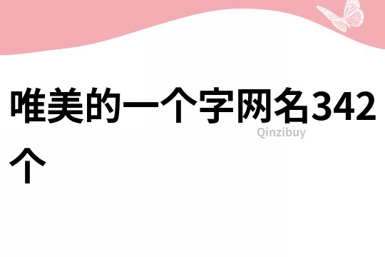 唯美的一個字網名342個