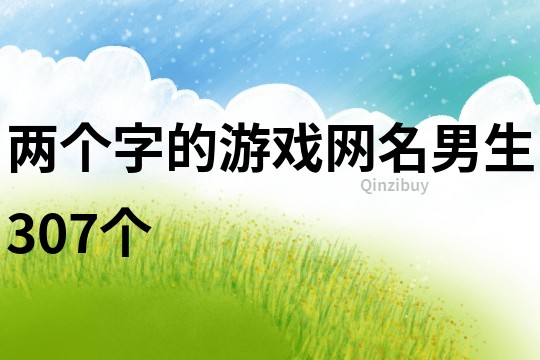 兩個字的游戲網名男生307個