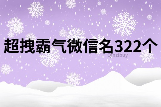 超拽霸氣微信名322個