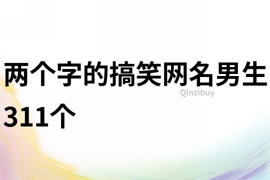 兩個字的搞笑網名男生311個