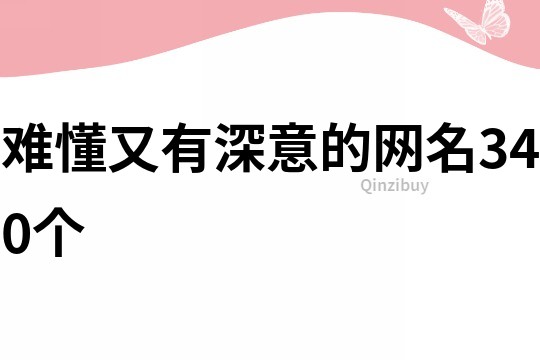 難懂又有深意的網名340個