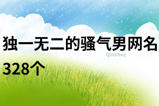 獨一無二的騷氣男網名328個