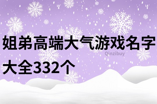 姐弟高端大氣游戲名字大全332個