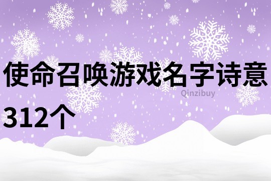 使命召喚游戲名字詩(shī)意312個(gè)
