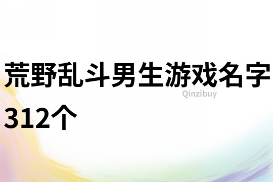 荒野亂斗男生游戲名字312個