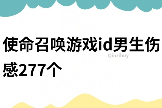 使命召喚游戲id男生傷感277個
