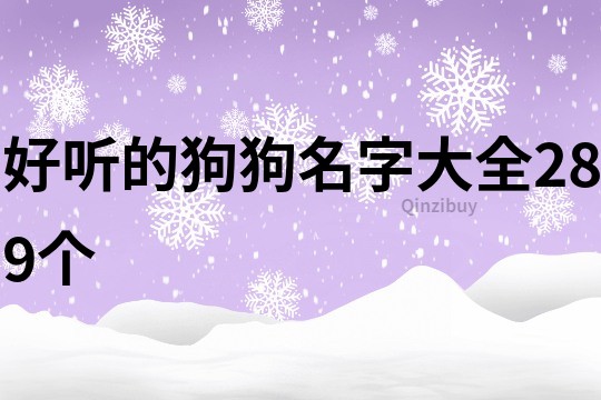 好聽的狗狗名字大全289個