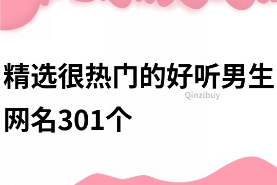 精選很熱門的好聽男生網名301個