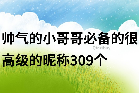 帥氣的小哥哥必備的很高級的昵稱309個