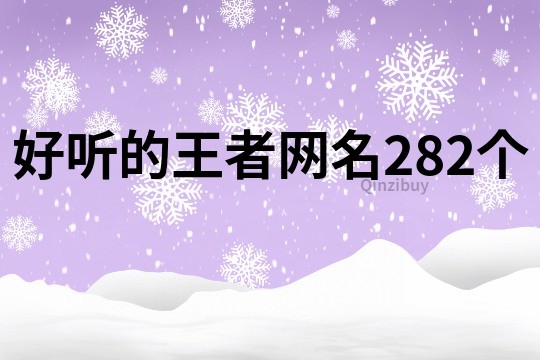 好聽的王者網名282個