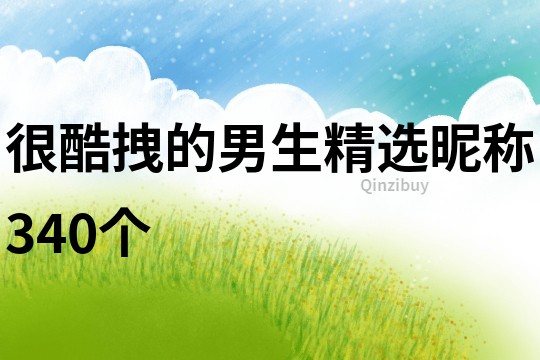 很酷拽的男生精選昵稱340個